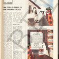 Corriere_Pag_077.jpg